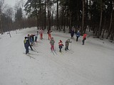 Фото: Лыжные старт