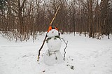 Фото: Лыжные старт