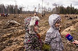 Фото: Акция «ЛЕС ПОБЕДЫ» 25 апреля 2015 года