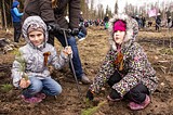 Фото: Акция «ЛЕС ПОБЕДЫ» 25 апреля 2015 года