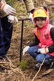 Фото: Акция «ЛЕС ПОБЕДЫ» 25 апреля 2015 года