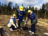 Марина Юрьевна Авдеева, Надежда Николаевна Котович, Инна Петровна Крючкова