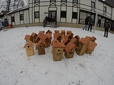 Фото: День птиц 01 апреля 2015 года