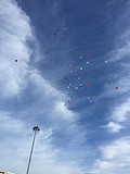 Фото: Праздник День защиты детей в спортивном комплексе «Снежком» 01 июня 2015 года