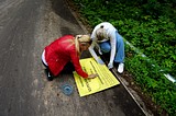 Фото: Эколого-краеведческая акция на славянских курганах 20 июня 2015