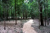 Фото: Эколого-краеведческая акция на славянских курганах 20 июня 2015