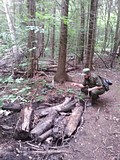 Антон Кузнецов