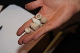 Фото: Круглый стол по охране памятников археологии октябрь 2015