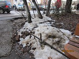 встреча с жителями поселка Лесной городок