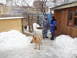 Одинцовский приют для бездомных животных, Александр Романов (владелец приюта) и Оксана Маркина