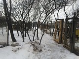 Одинцовский приют для бездомных животных