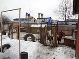 Одинцовский приют для бездомных животных