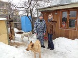Одинцовский приют для бездомных животных, Александр Романов (владелец приюта) и Наталья Афиногенова