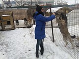 Одинцовский приют для бездомных животных, Оксана Маркина