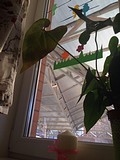 встреча с многодетными семьями 12 апреля