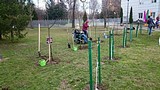 участники субботника