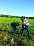 акция «Красивые берега»