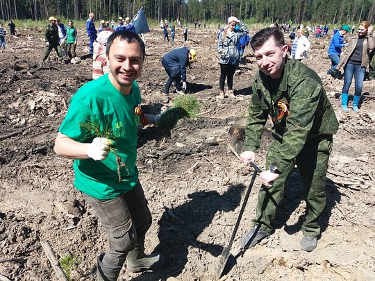 Комиссия по экологии, землепользованию и природопользованию, акция «Лес Победы»