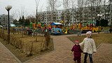 встреча с главой сельского поселения Никольское
