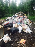 экологический рейд по уборке свалок