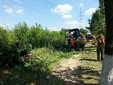 опиловка тополей