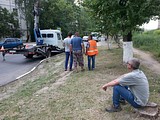 опиловка тополей