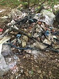 акция в липовой роще 2 июля 2016 года