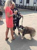 Подготовка к фестивалю
