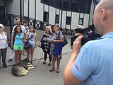 Подготовка к фестивалю