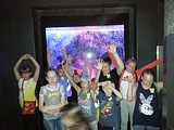 эко-путешествие для юных экологов из Одинцово