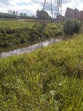 забор воды из реки Ликова городского поселения Лесной городок