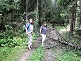 Посещение реликтового леса