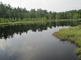 Посещение реликтового леса