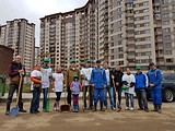 посадка деревьев в ЖК «Гусарская баллада»