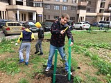 посадка деревьев в ЖК «Гусарская баллада»