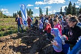 Экологическая акция