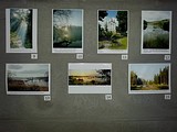 Фотоконкурс «Родная Земля-Одинцовский край»