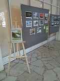 Фотоконкурс «Родная Земля-Одинцовский край»