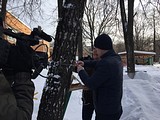 Акция «Покормите птиц зимой!» в детском саду №55