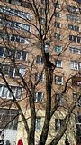 Подготовка к акции «Птичий многоквартирник»