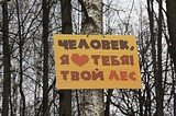 Субботник в Подушкинском лесопарке 22 апреля