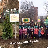 Акция «Лес Победы» в Одинцово