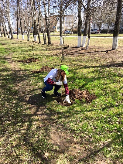 Акция «Лес Победы» в городском поселении Кубинка