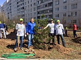 Акция «Лес Победы» в Успенском поселении