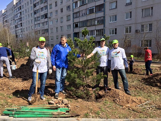 Акция «Лес Победы» в Успенском поселении