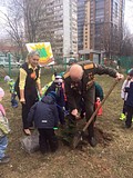 Акция «Лес Победы» в Одинцово