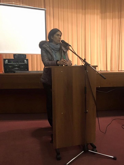 Заседание Общественной палаты 11 мая 2017 года