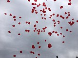 Благотворительный забег «Я бегу-ребенку помогу!»