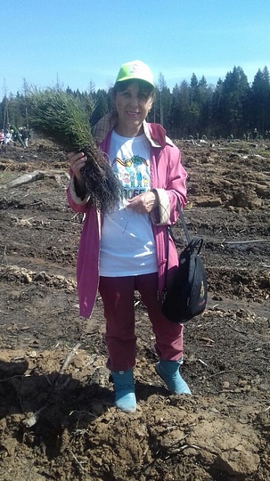 Акция «Лес Победы»