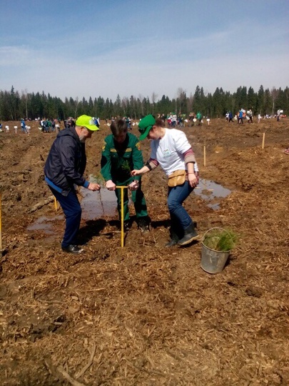 Акция «Лес Победы» — 2017